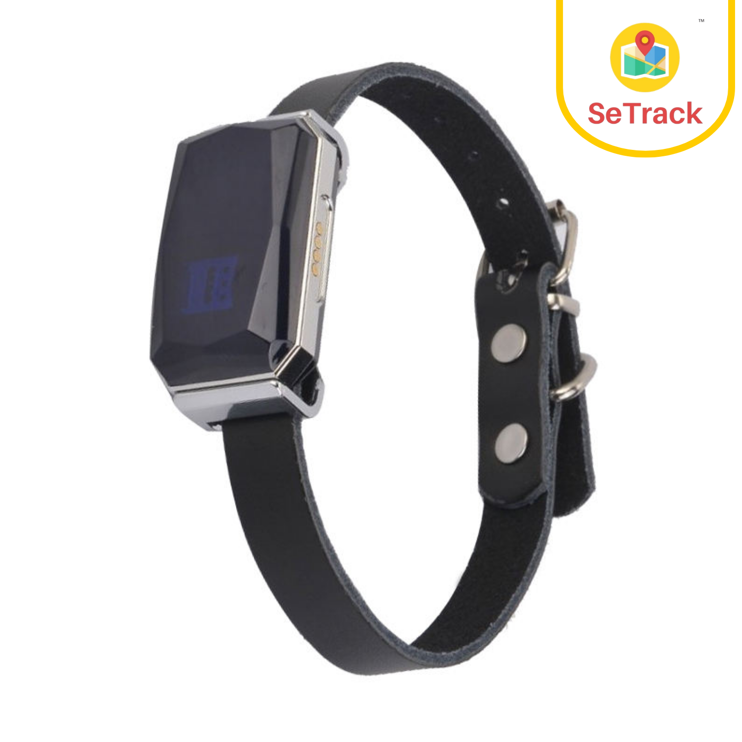 SeTrack PET GPS (WIRELESS)