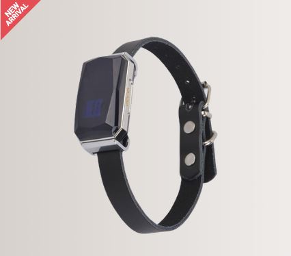 SeTrack SE-07 GPS (WIRELESS)